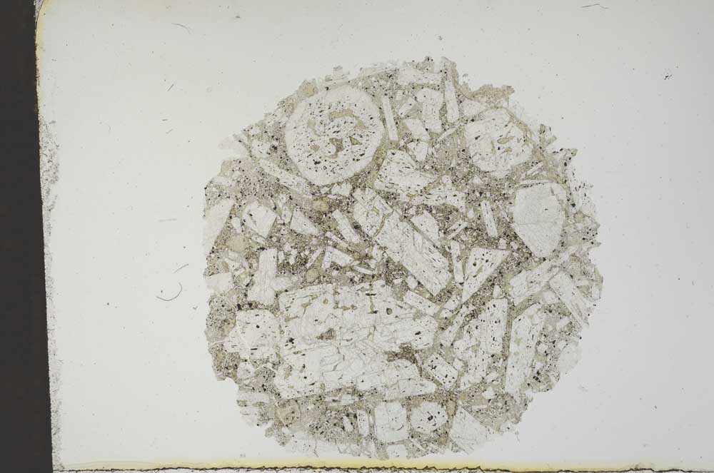 Plane Polarized, S13869