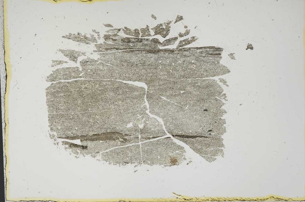 Plane Polarized, S13870
