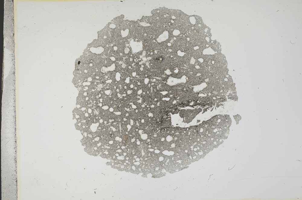 Plane Polarized, S13873