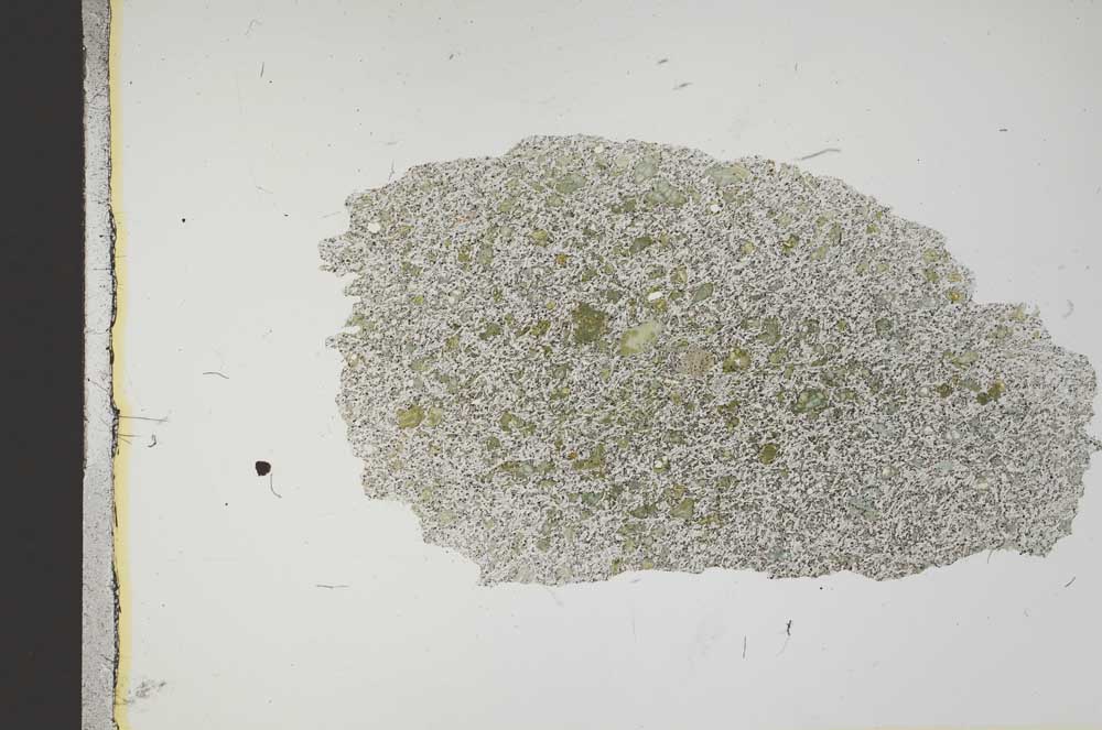 Plane Polarized, S13874
