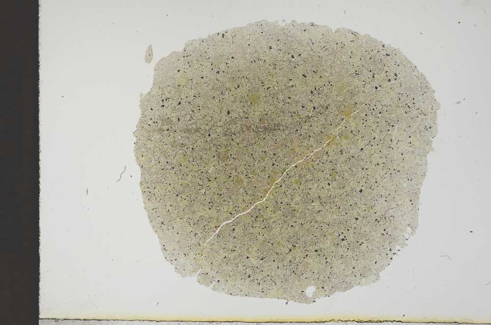 Plane Polarized, S13885