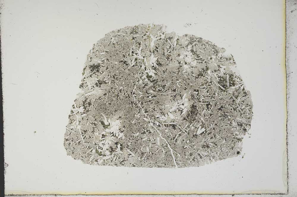 Plane Polarized, S13891