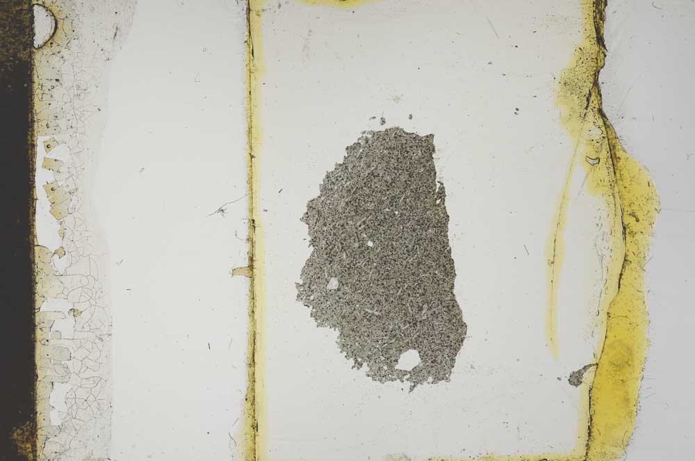 Plane Polarized, S13894