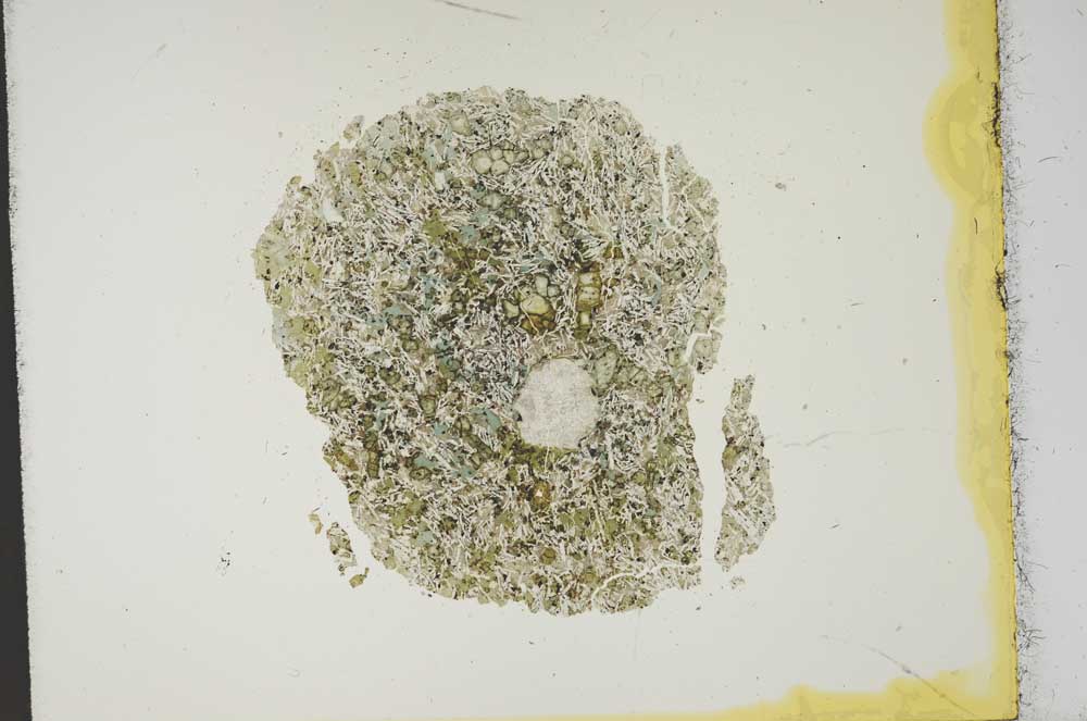 Plane Polarized, S13895