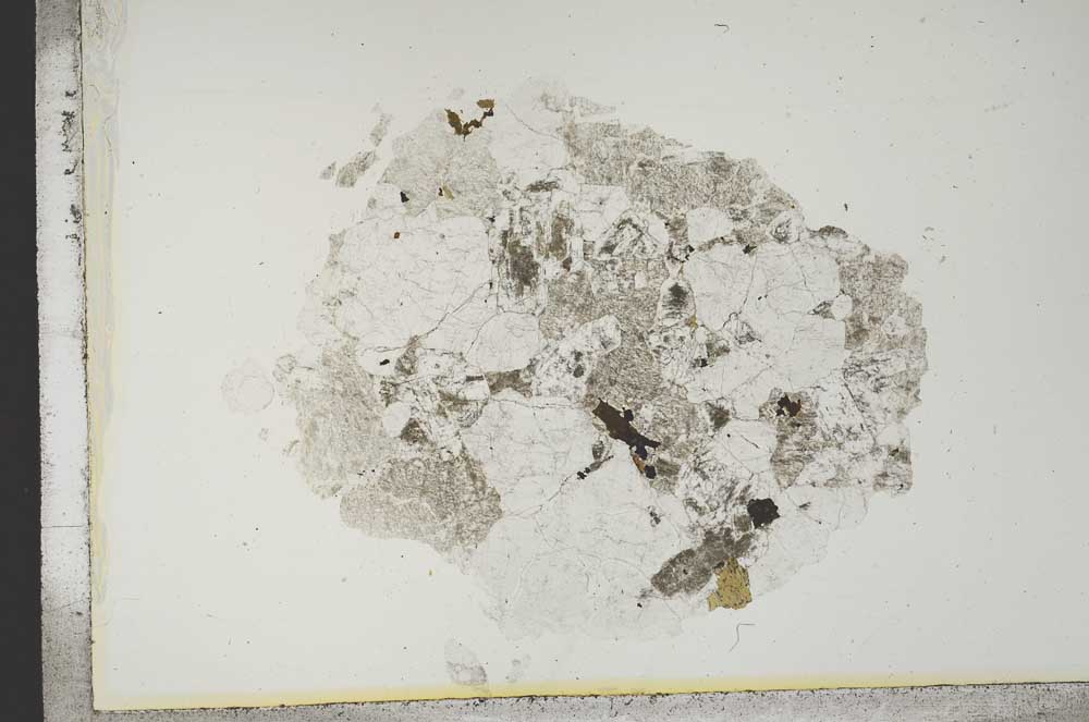 Plane Polarized, S13909