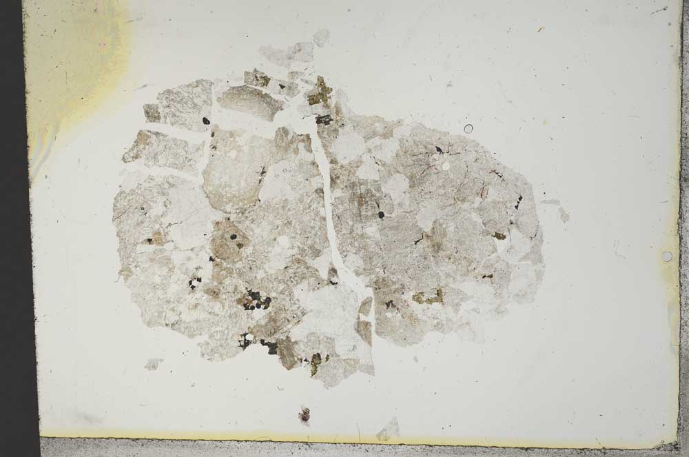 Plane Polarized, S13910