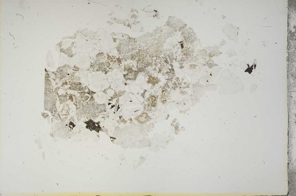 Plane Polarized, S13912