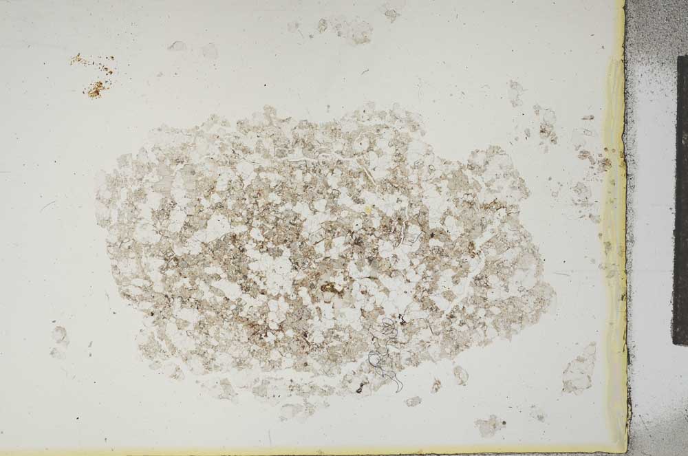 Plane Polarized, S13913