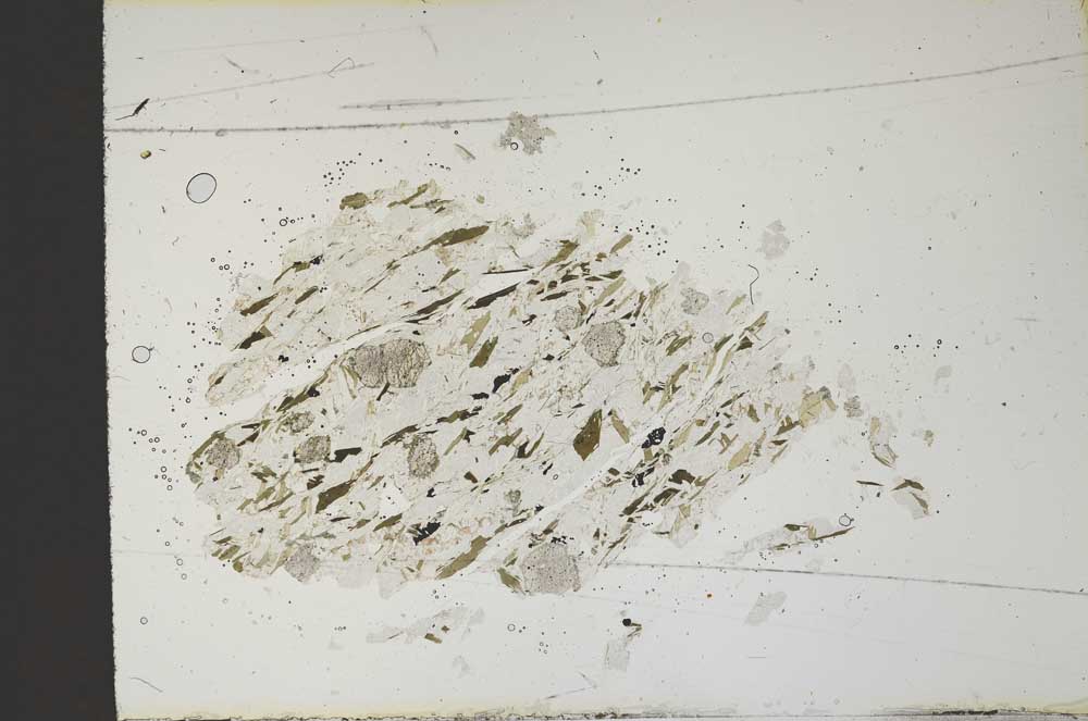 Plane Polarized, S13916