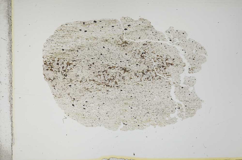Plane Polarized, S13922