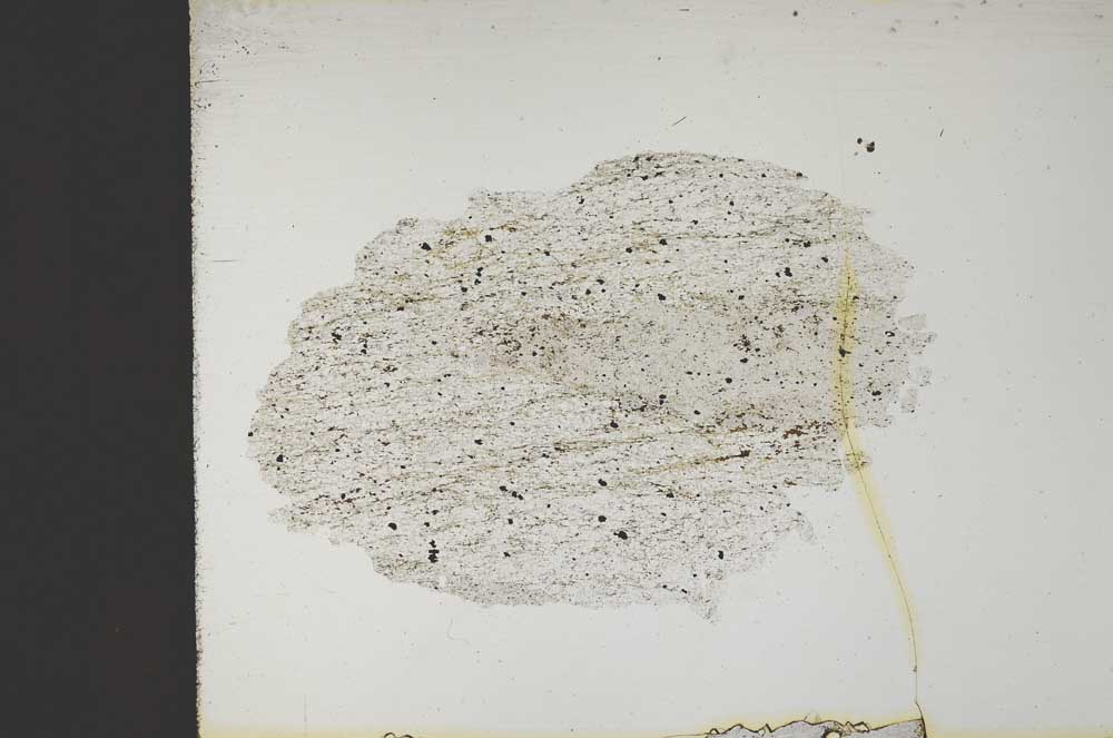 Plane Polarized, S13922/B