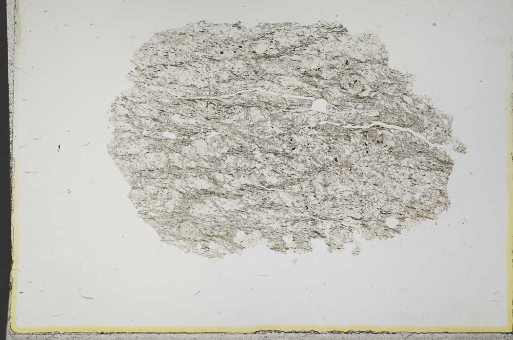 Plane Polarized, S13924