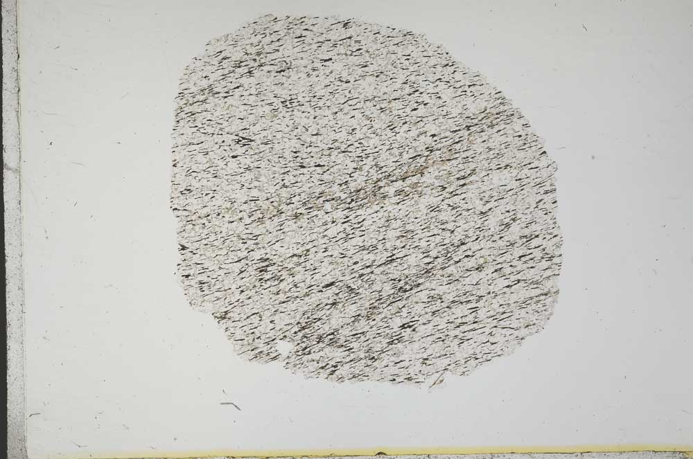 Plane Polarized, S13925
