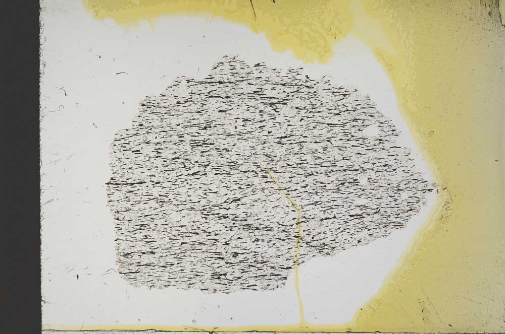 Plane Polarized, S13926