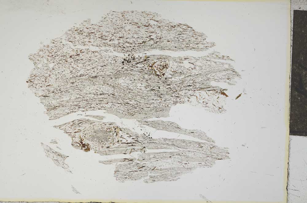 Plane Polarized, S13927