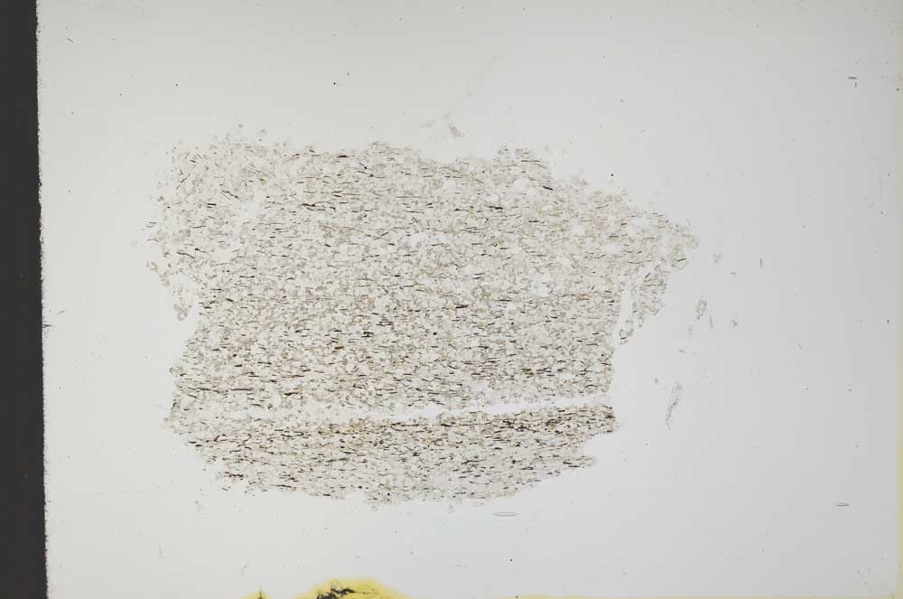 Plane Polarized, S13928