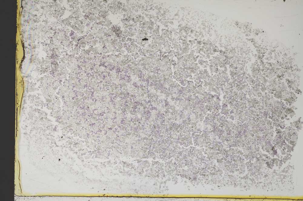 Plane Polarized, S13931/A