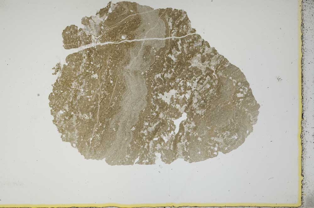 Plane Polarized, S13941