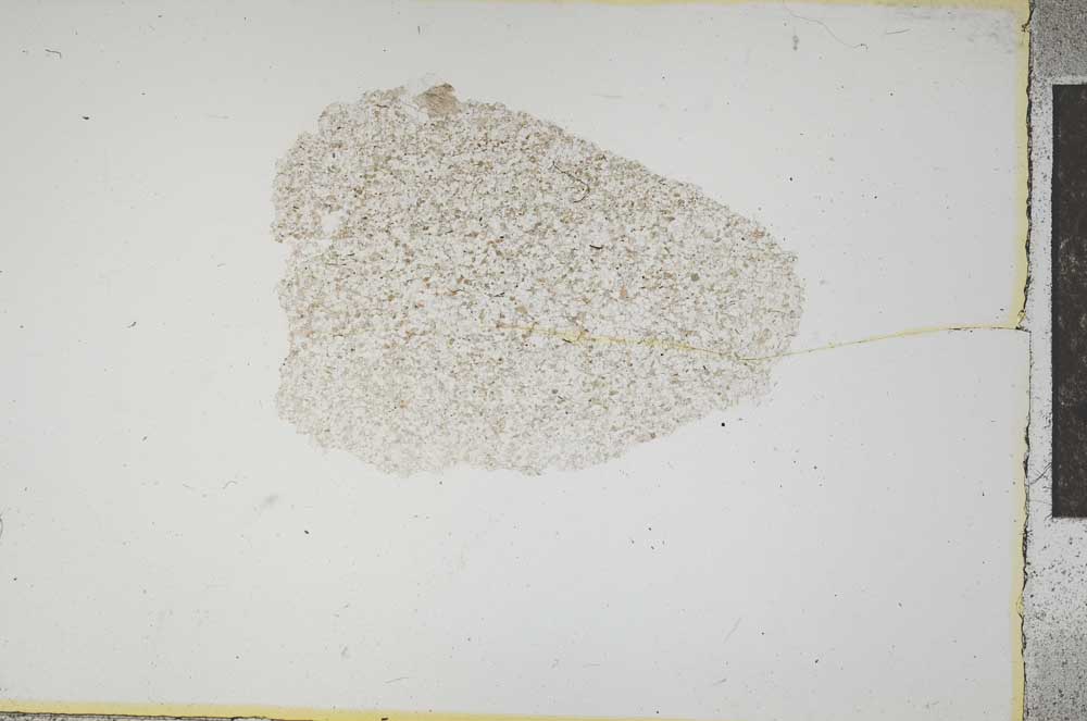 Plane Polarized, S13946