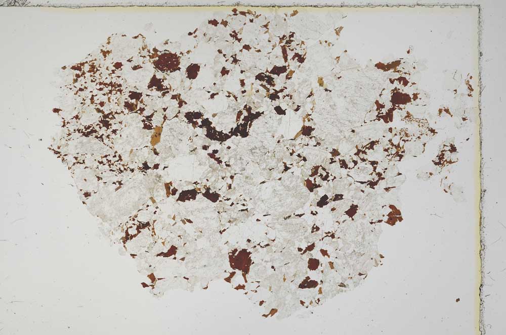 Plane Polarized, S13974