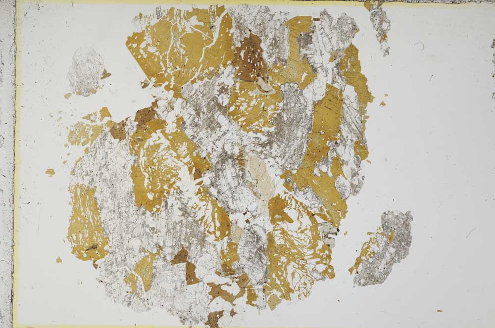 Plane Polarized, S13976