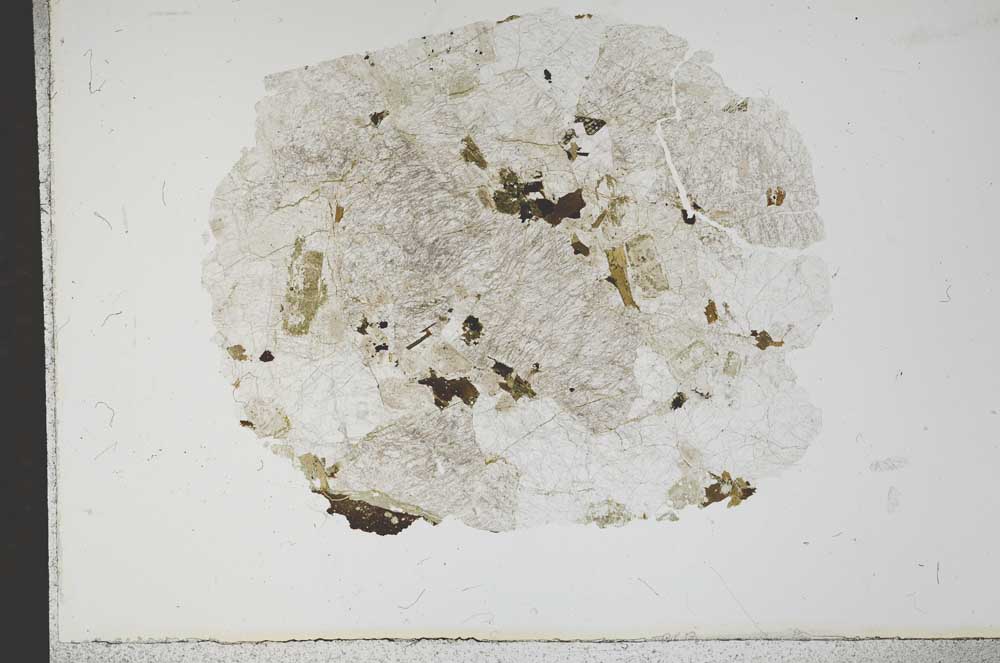 Plane Polarized, S13987