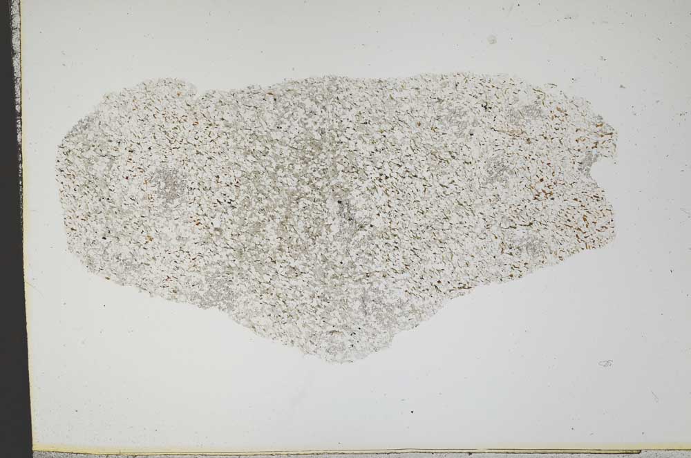 Plane Polarized, S13992