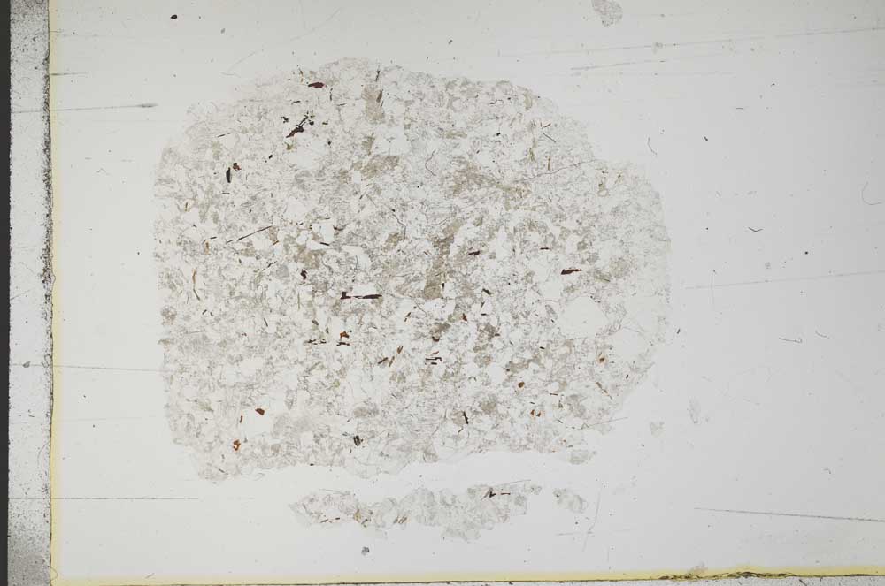 Plane Polarized, S13993