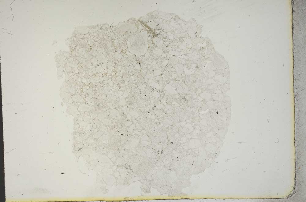 Plane Polarized, S14012