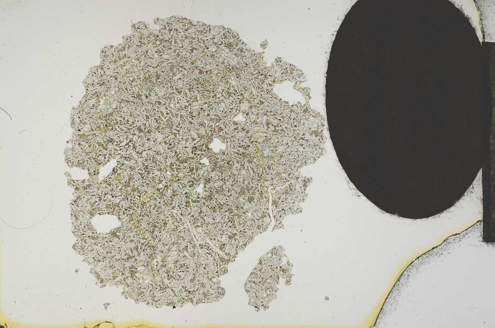 Plane Polarized, S14015