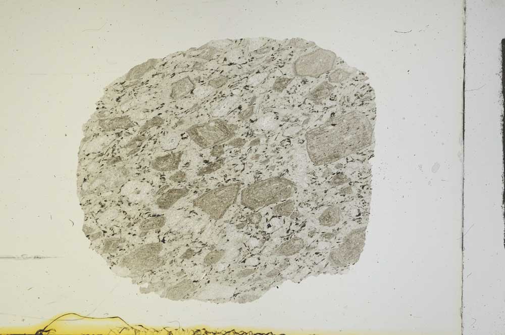 Plane Polarized, S14016