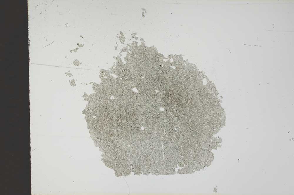 Plane Polarized, S14057