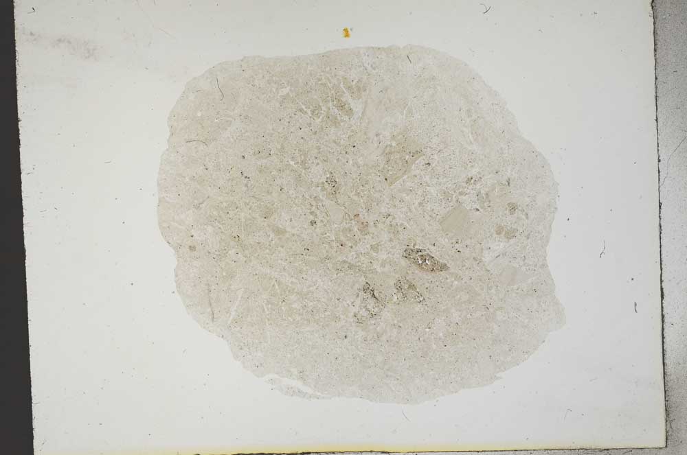Plane Polarized, S14079