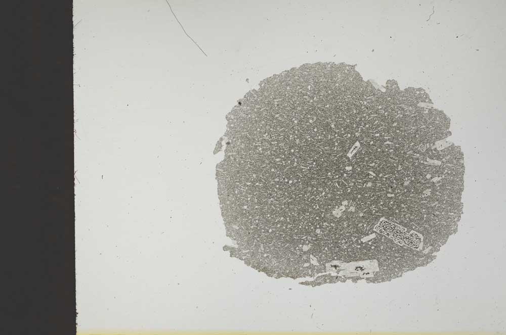 Plane Polarized, S14091