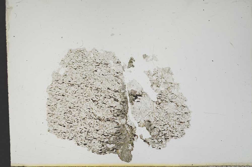 Plane Polarized, S14095