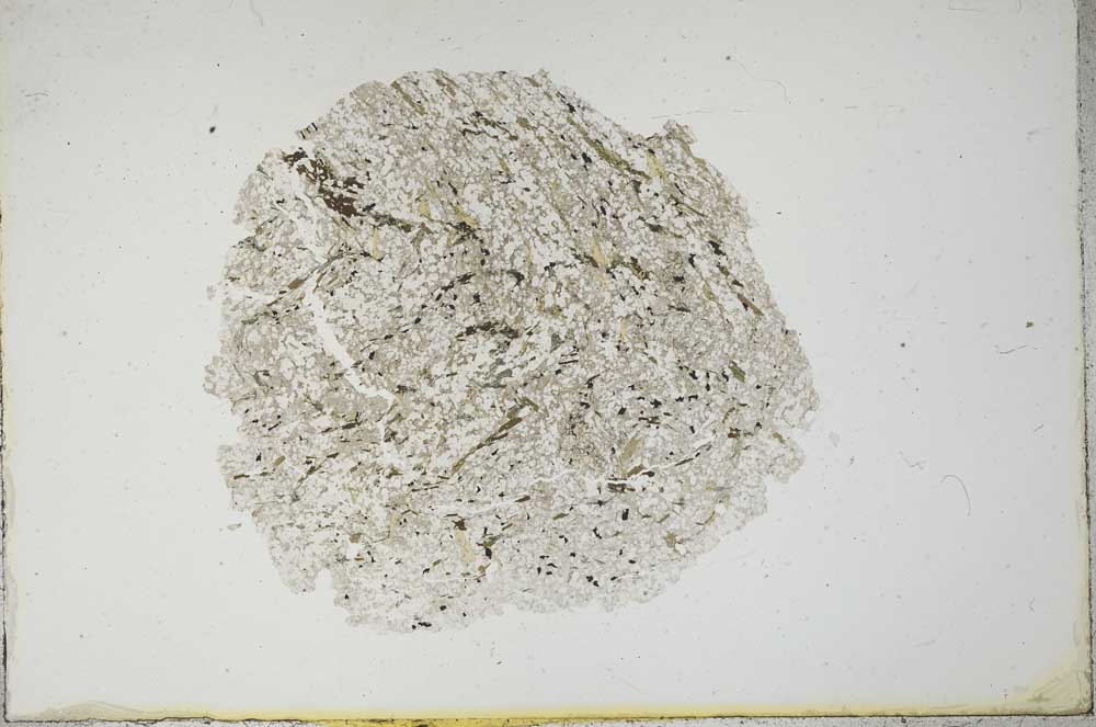 Plane Polarized, S14098