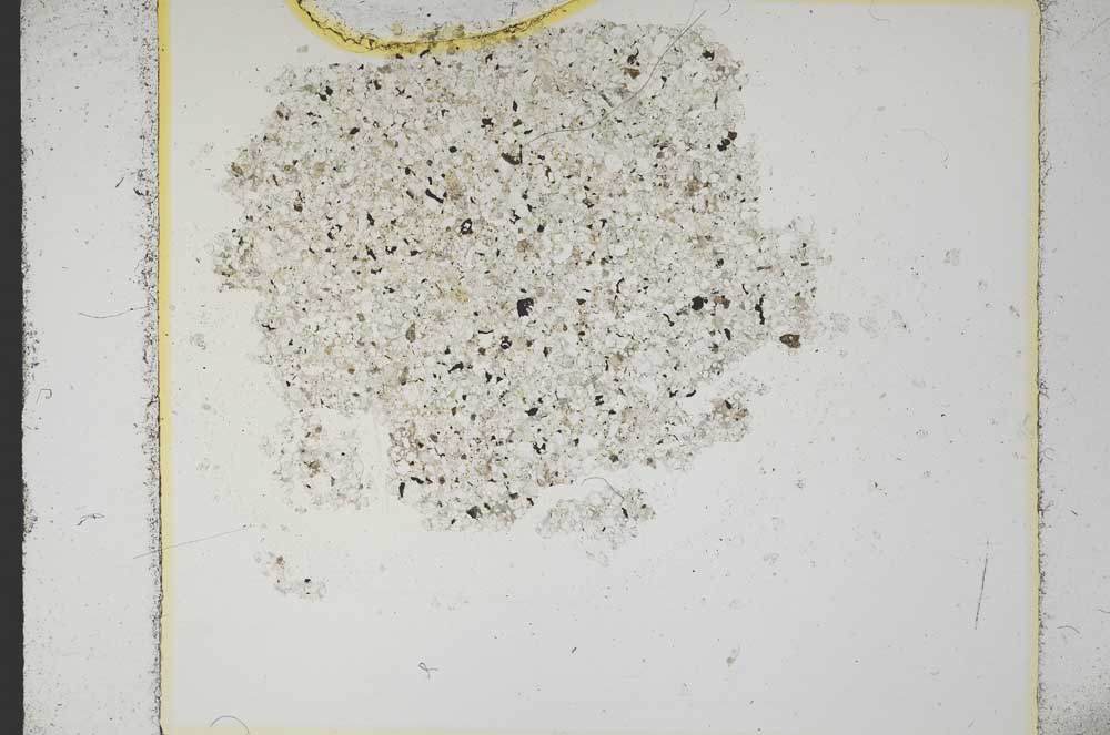 Plane Polarized, S14118