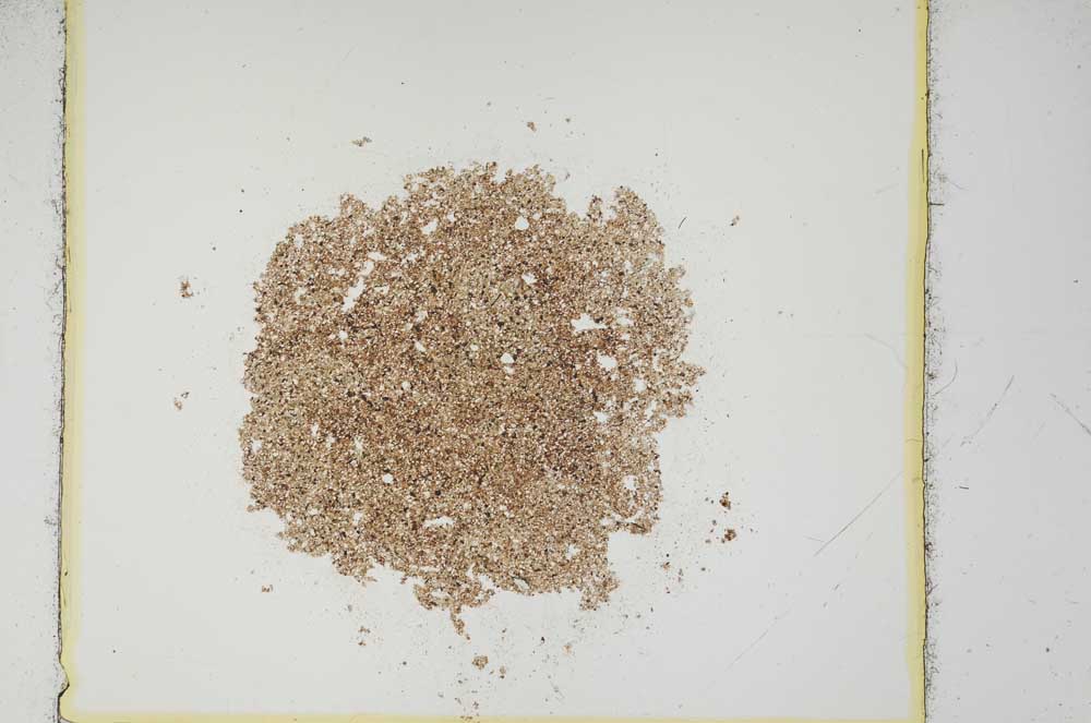 Plane Polarized, S14121