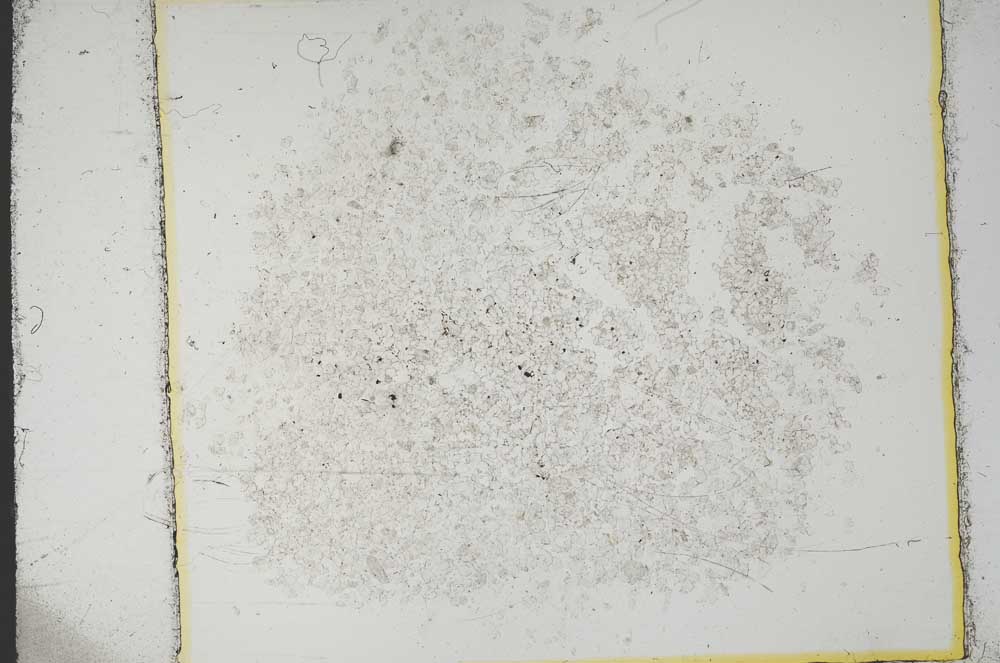 Plane Polarized, S14123