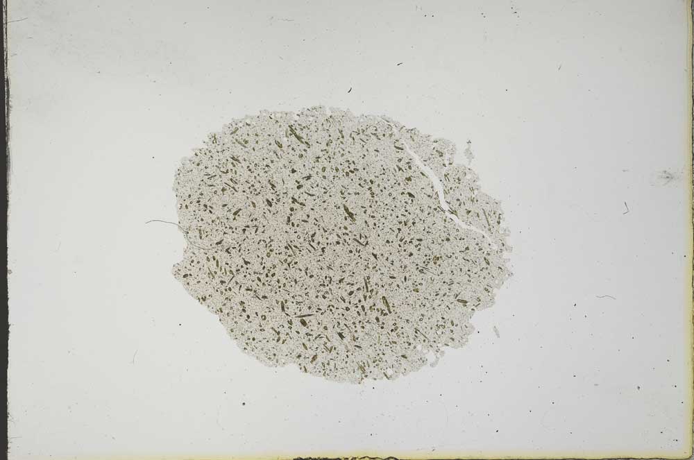 Plane Polarized, S14146