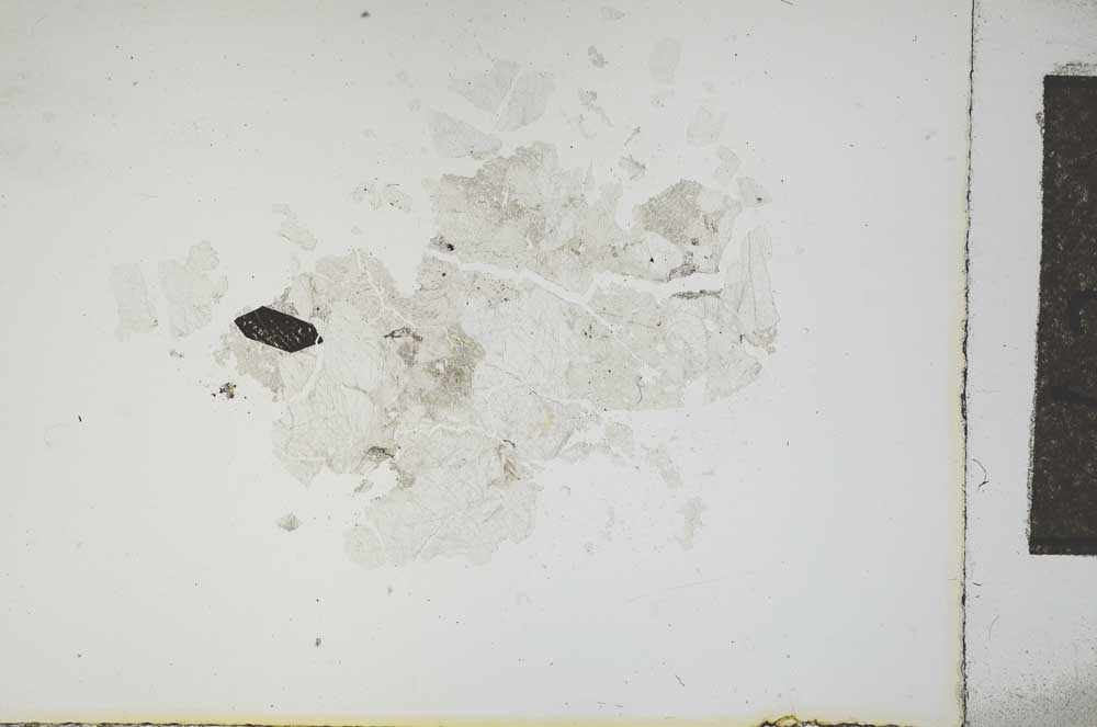 Plane Polarized, S14151