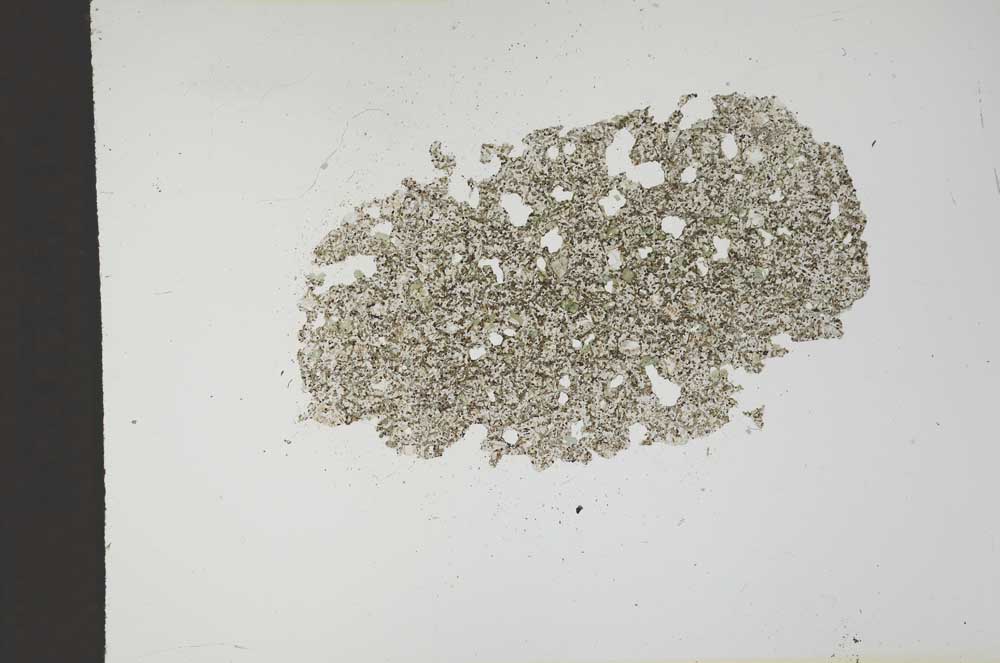 Plane Polarized, S14152