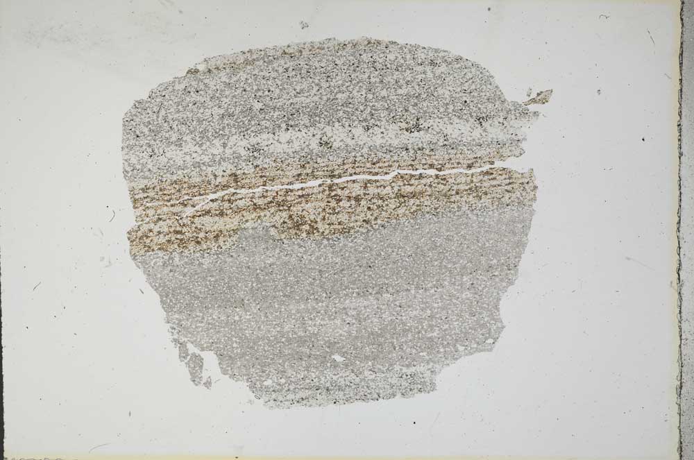 Plane Polarized, S14156