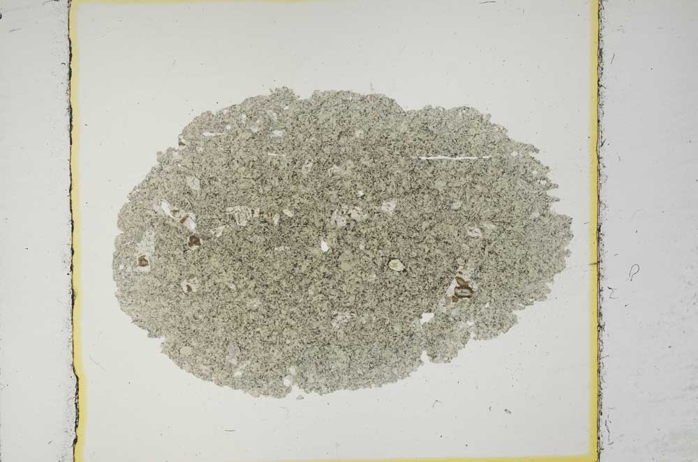 Plane Polarized, S14159