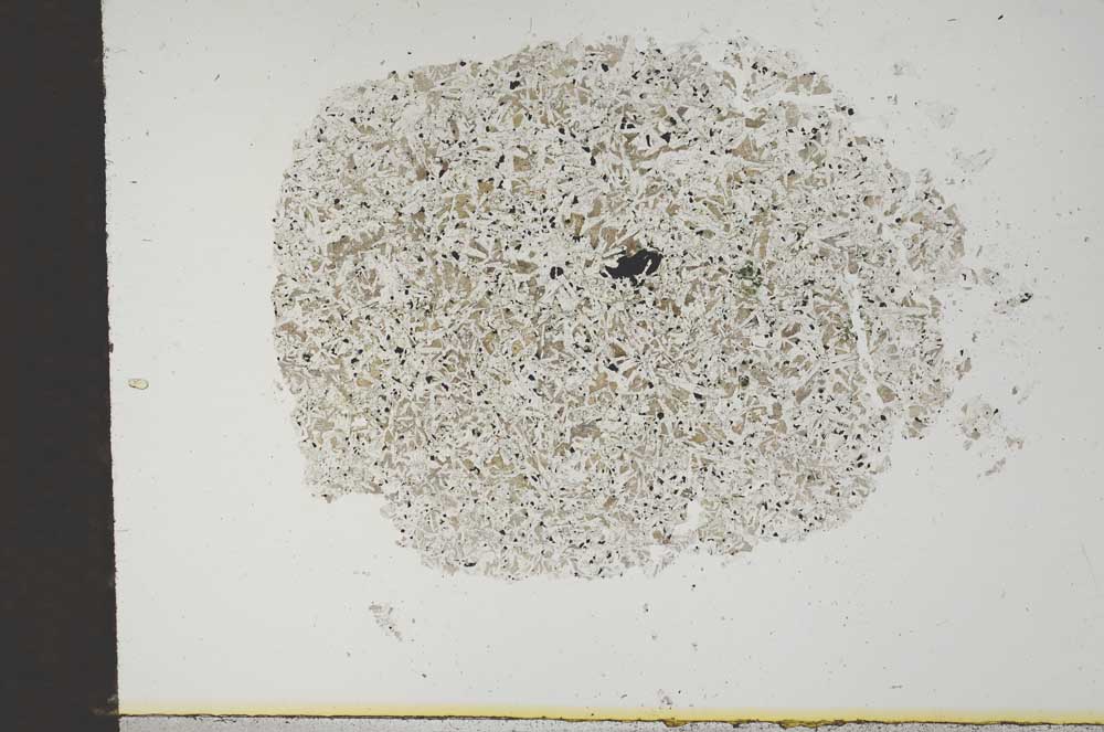 Plane Polarized, S14170