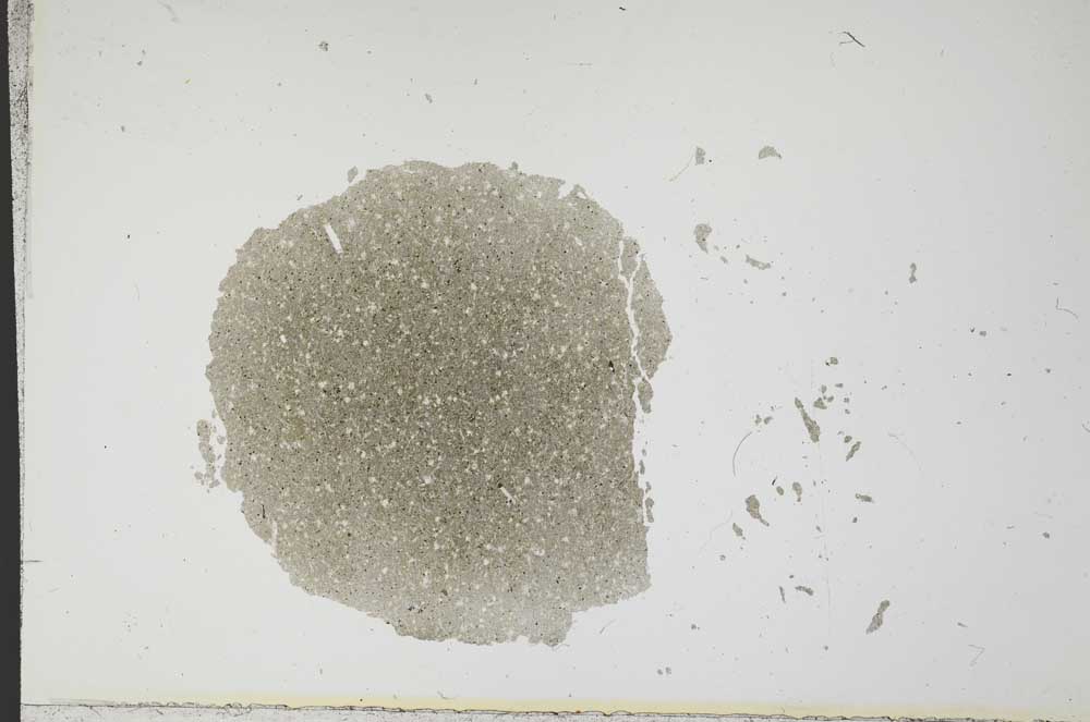 Plane Polarized, S14201