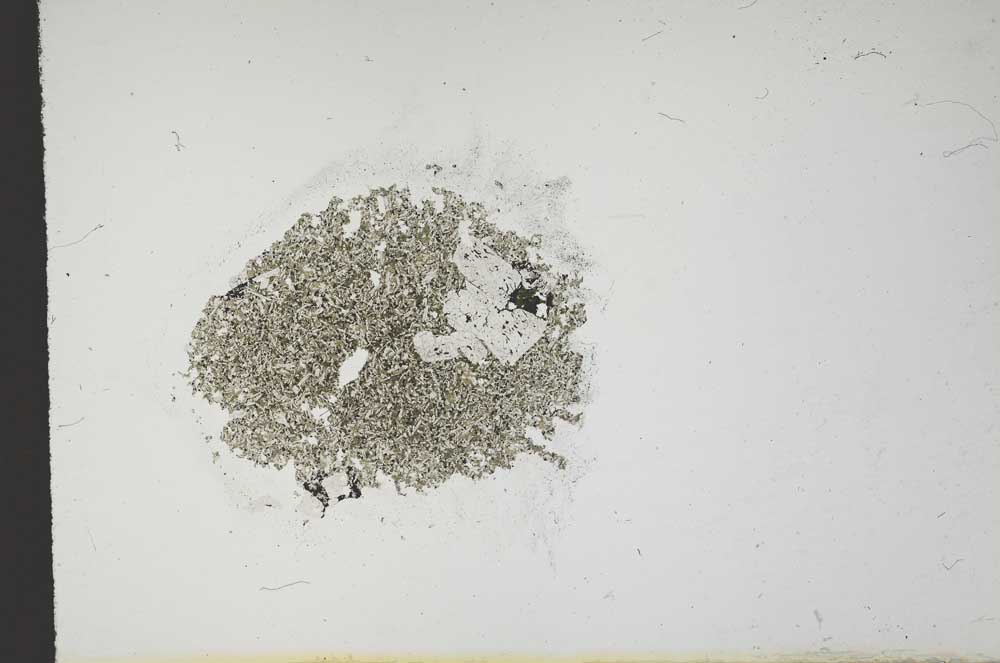 Plane Polarized, S14211