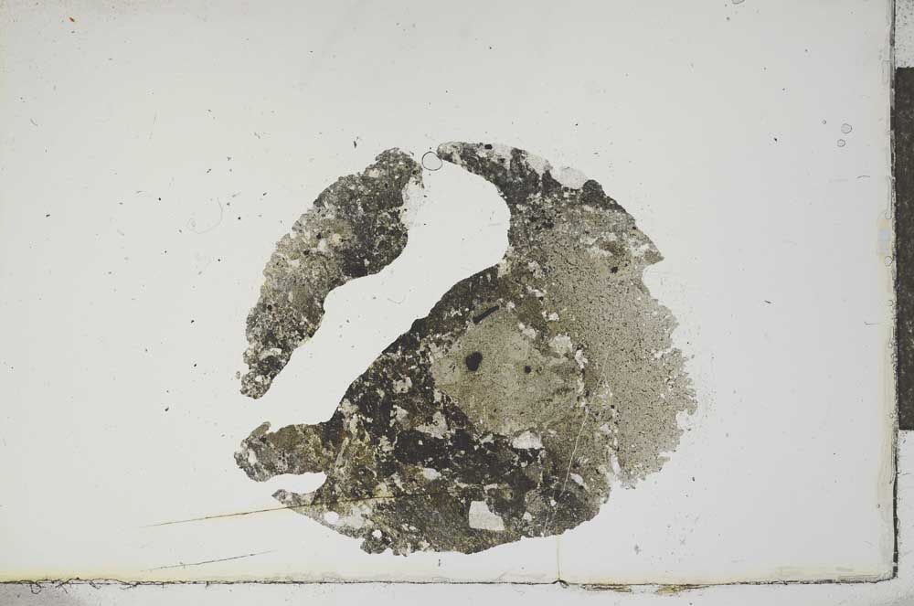 Plane Polarized, S14228