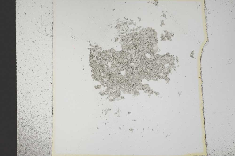 Plane Polarized, S14236