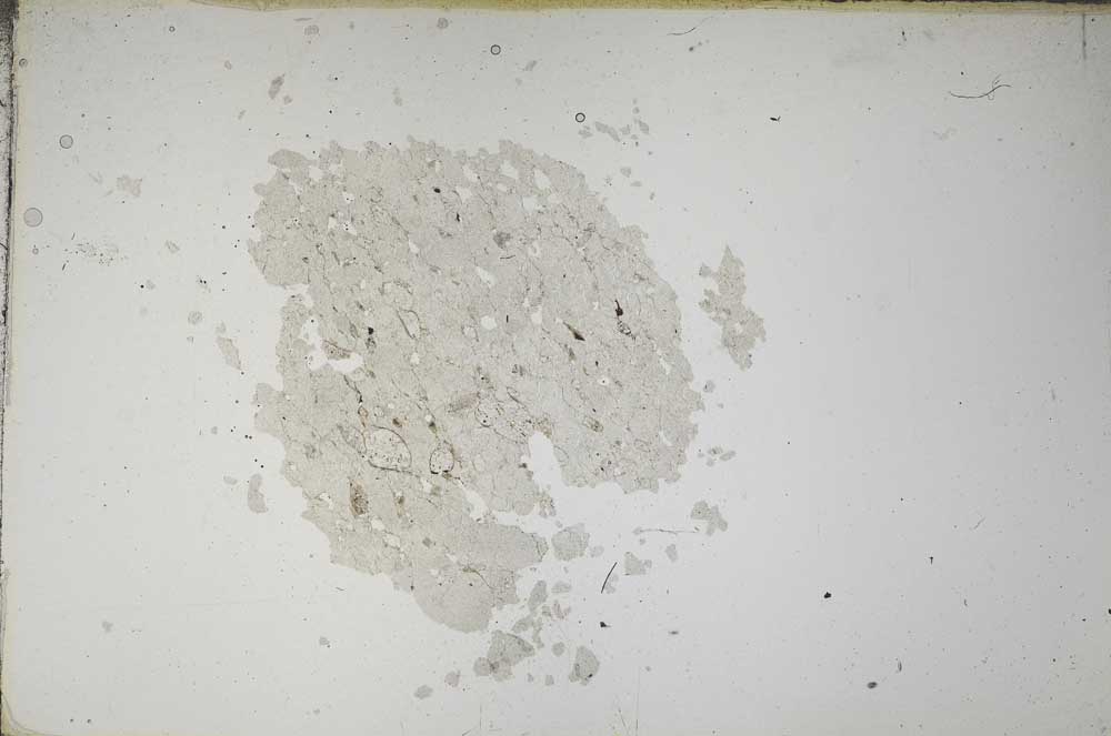 Plane Polarized, S14262